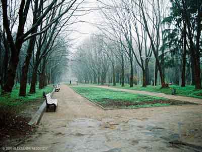 Stryiskyi Park Lviv Ukraine - Стрийський парк Львів